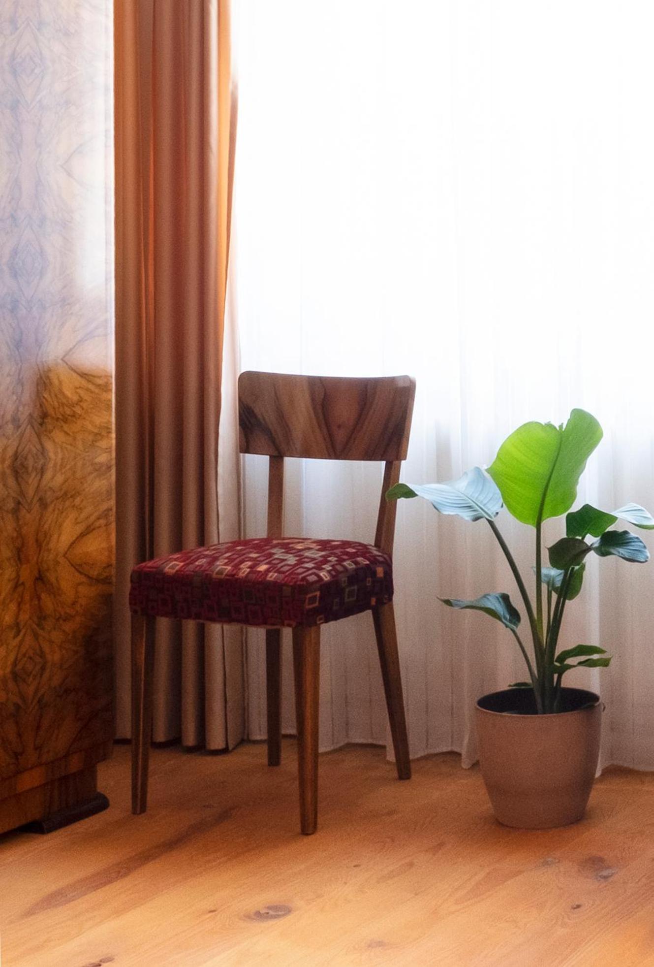 Passero Holiday House Моравске-Топлице Екстериор снимка